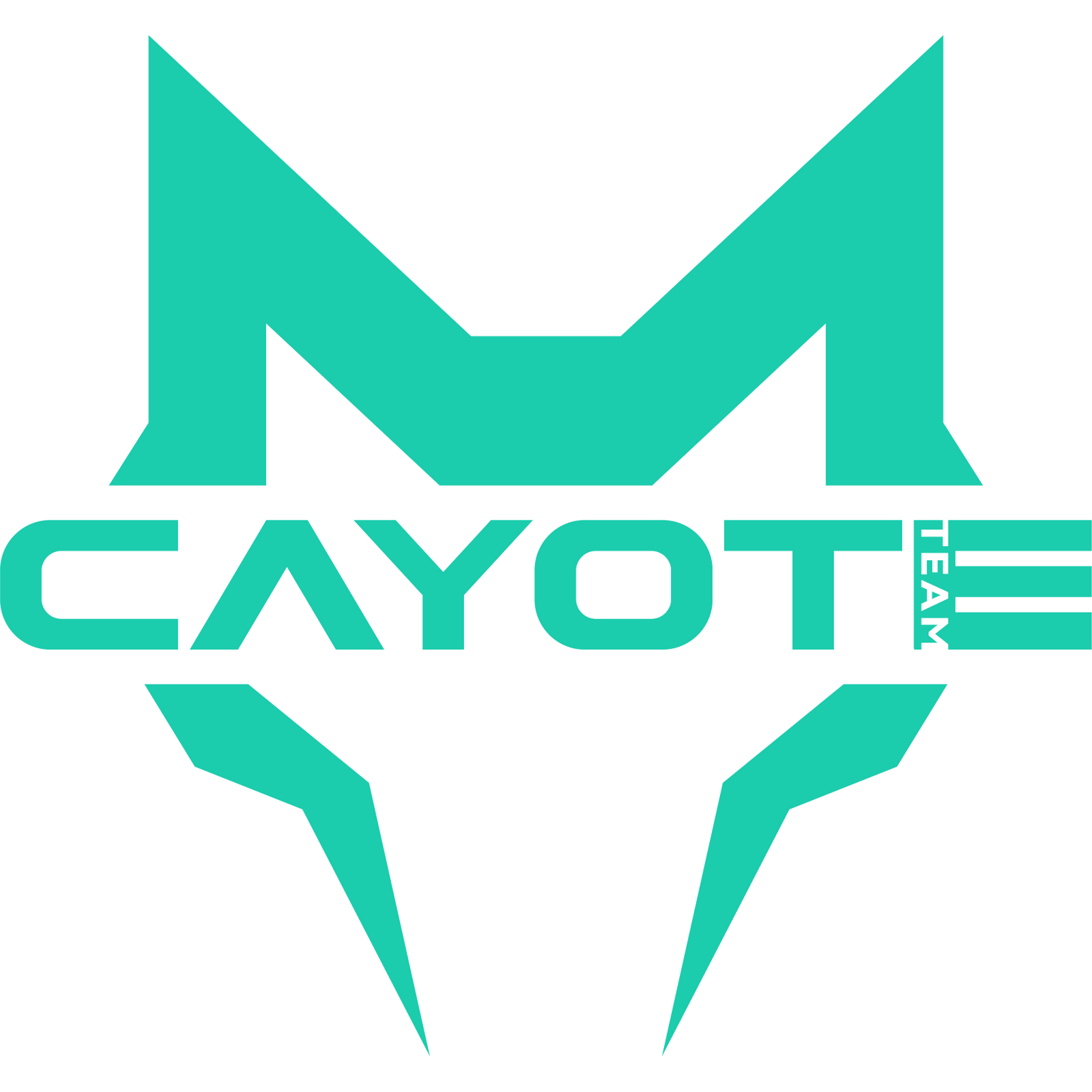 CAYOTE Racing 8800mAh 1S LiPo Battery 3,7V 145C 162g